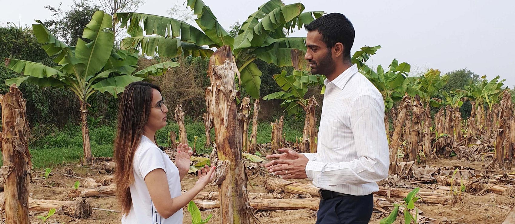 Chirag Virani speaking with his business partner at a banana farm